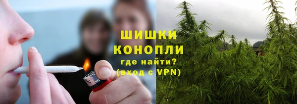 гидра Инта