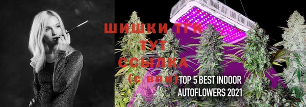 шишки Алексин