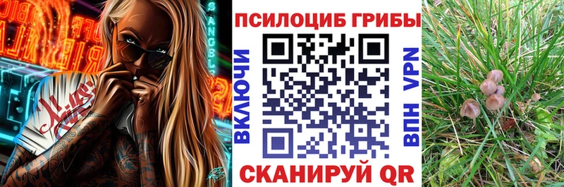 Псилоцибиновые грибы Psilocybine cubensis Краснотурьинск